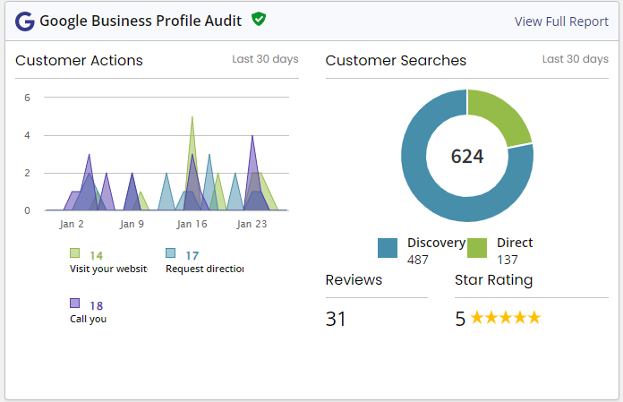 Google Business Profile Audit