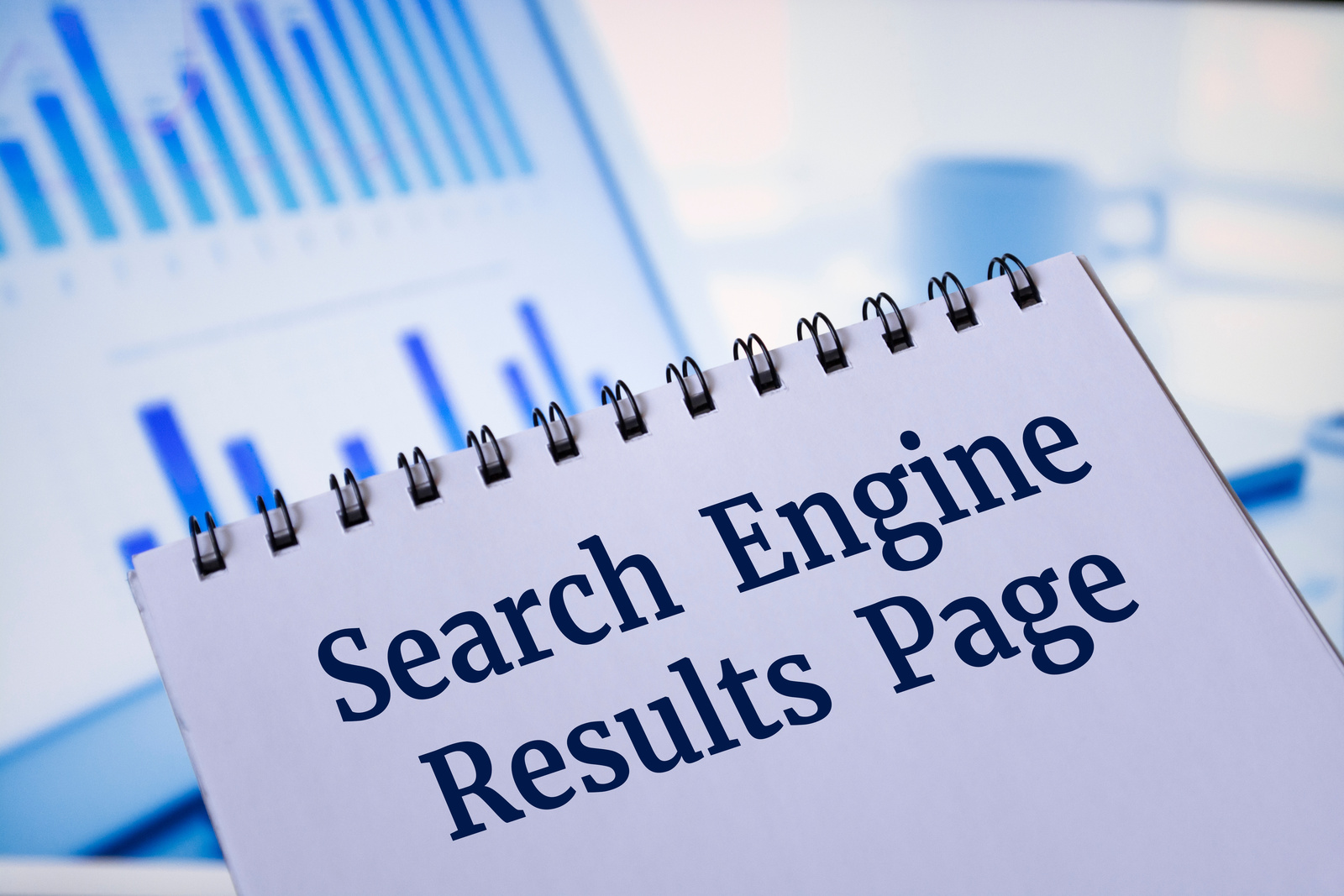 SERPs - Search Engine Results Pages